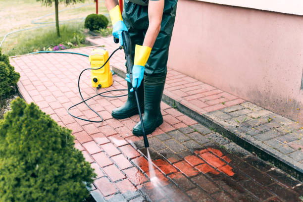 Best Fence Cleaning  in Audubon, IA